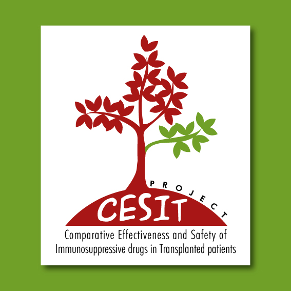 Logo CESIT